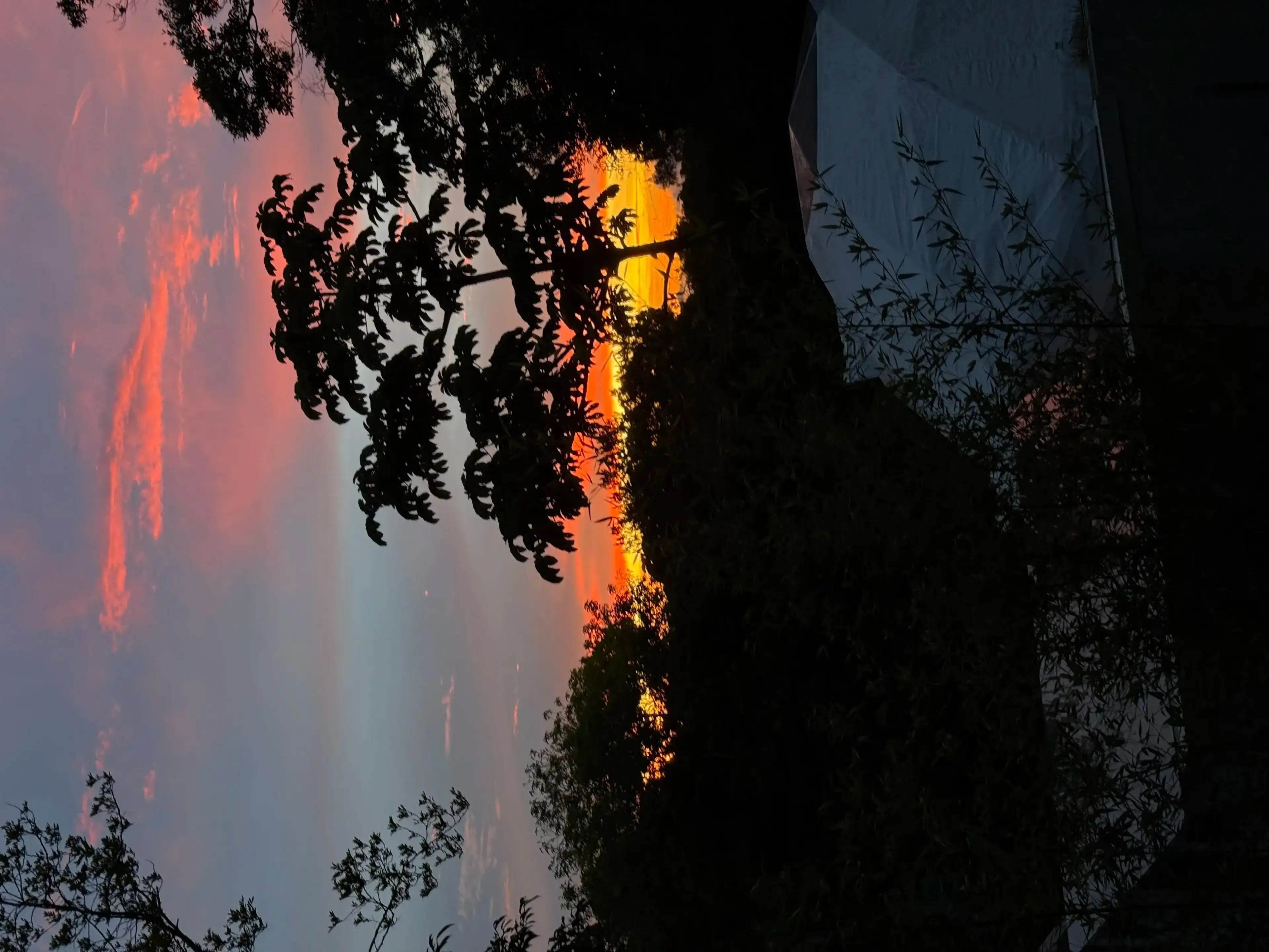 Atardecer entre los árboles y los domos