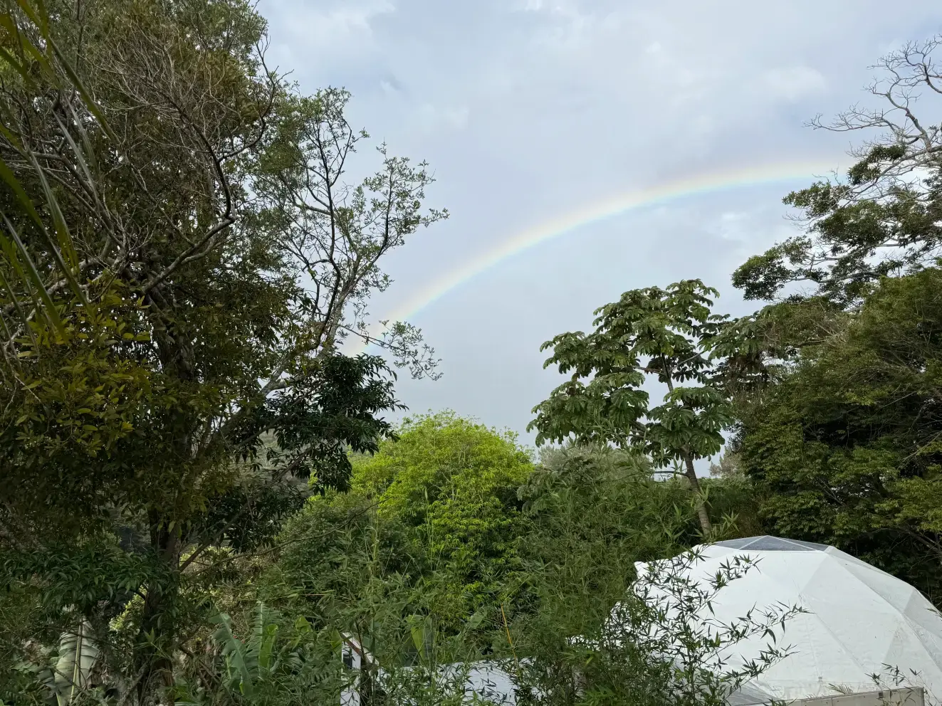 Arcoíris sobre el bosque y los domos