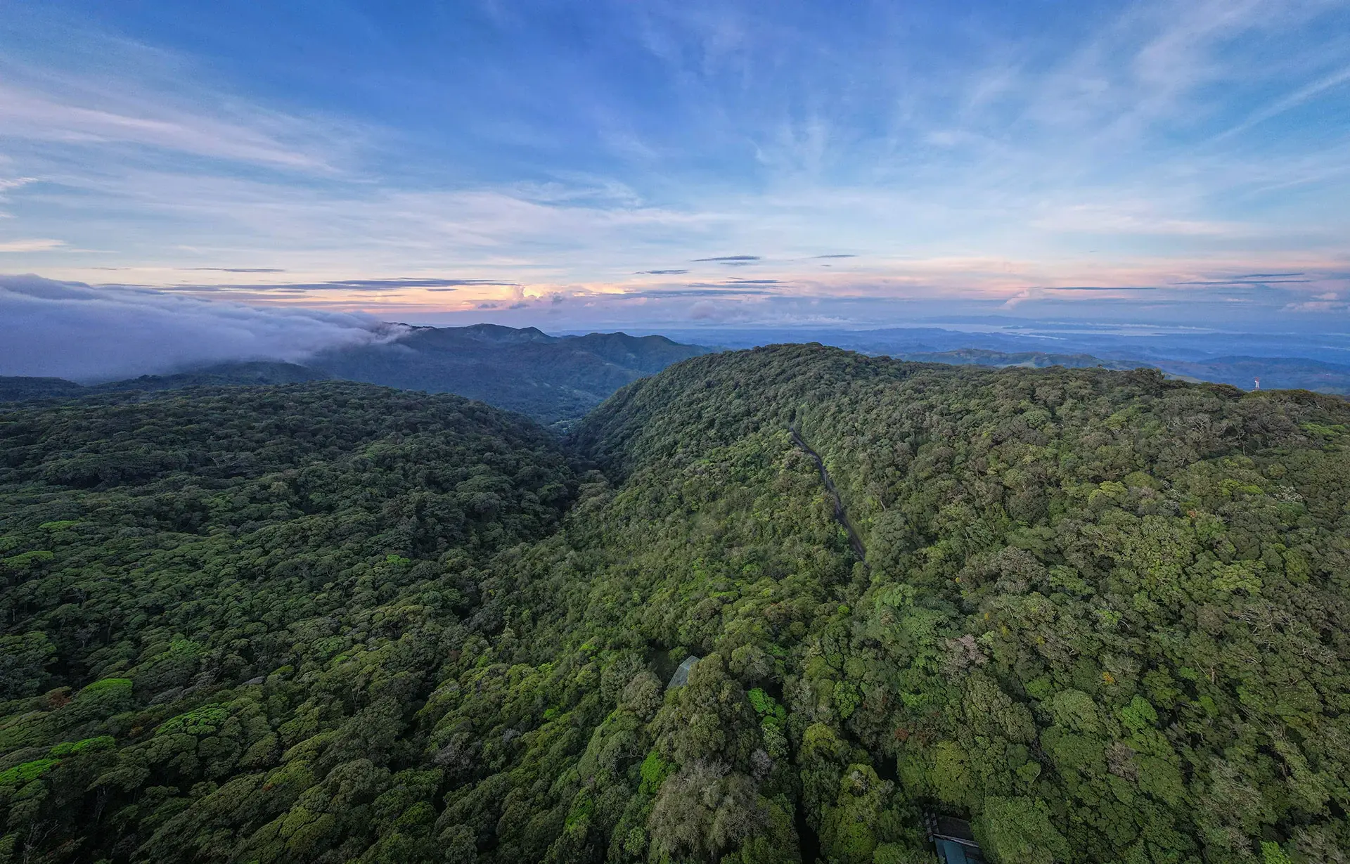 Reserva Bosque Nuboso
